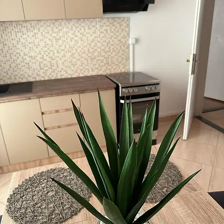 Apartament Kuki Rab *